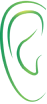 Ear illustration